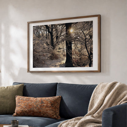 Scottish Winter Sunset Fine Art Photo Print | Hoar Frost on Trees Landscape