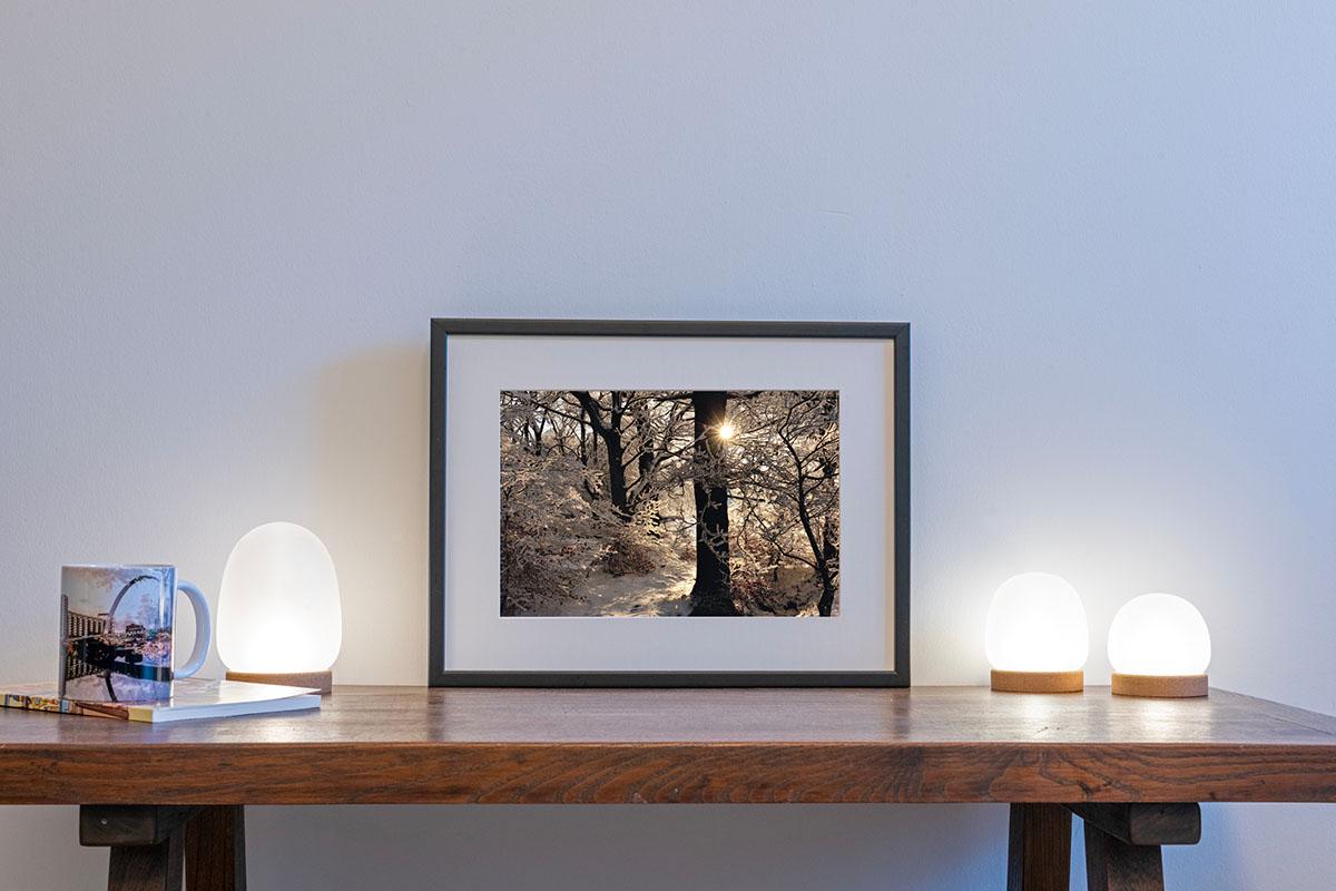 Golden Silvery in small frame