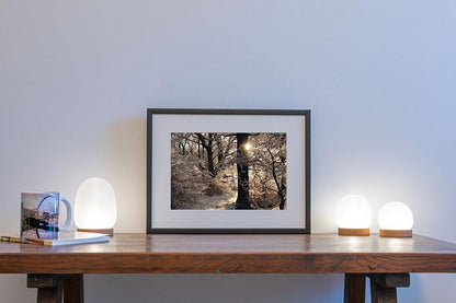 Golden Silvery in small frame