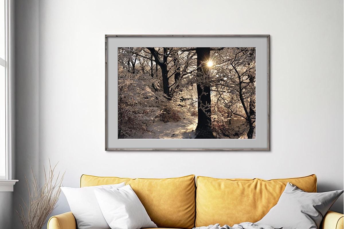 Golden Silvery photo in frame on wall