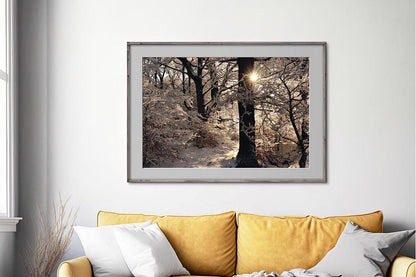 Golden Silvery photo in frame on wall