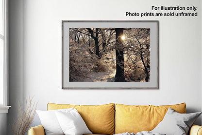 Golden Silvery print in frame illustration only mockup