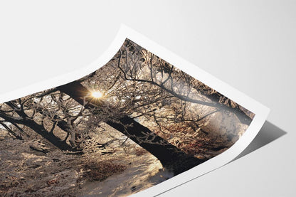 Golden Silvery print with border