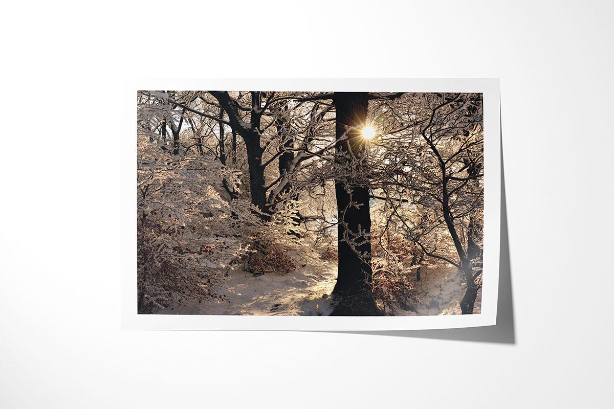 Golden Silvery print with upturned corner