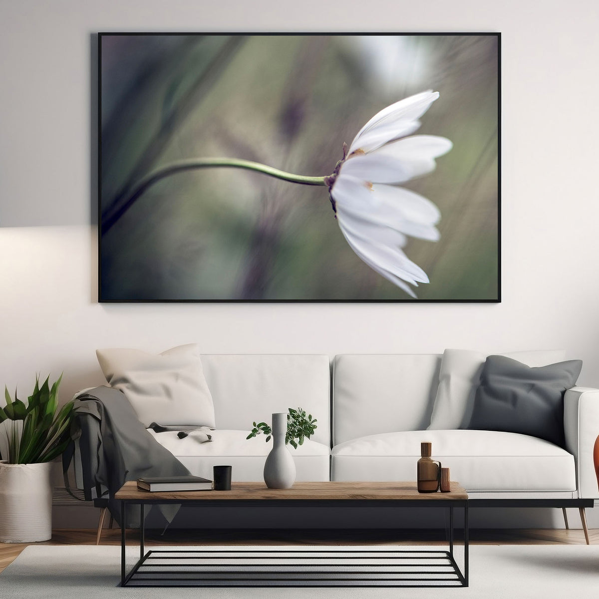 Daisy Blowing in Wind Wall Art | Canvas, Aluminium or Acrylic Glass