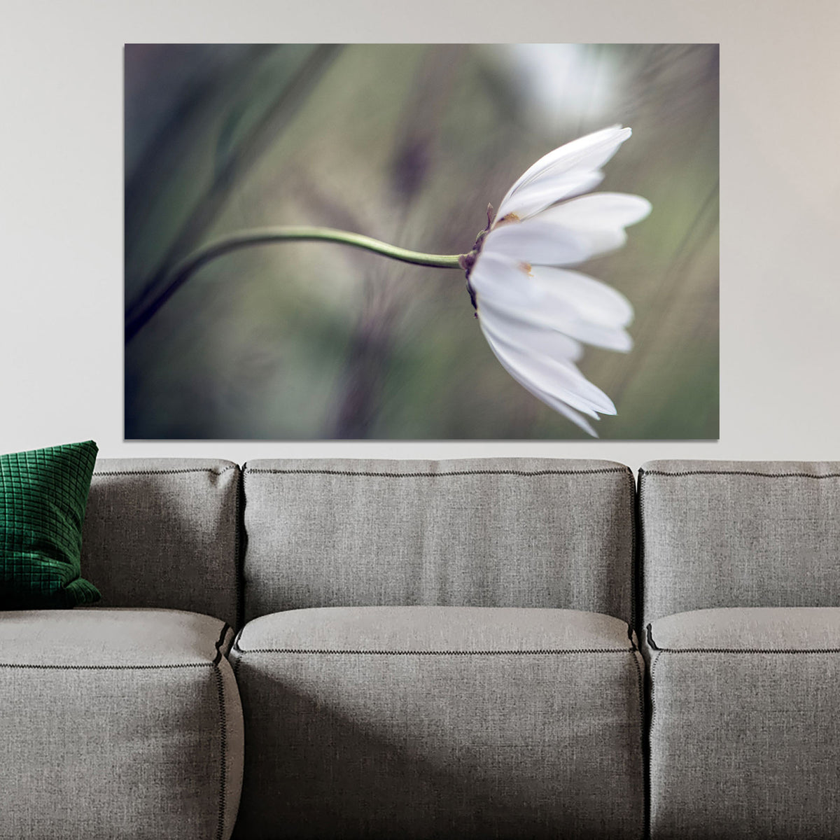 Daisy Blowing in Wind Wall Art | Canvas, Aluminium or Acrylic Glass