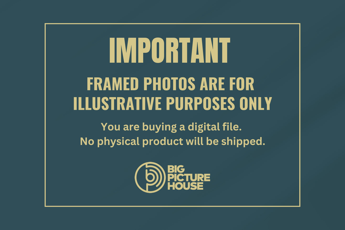 Digital downloads important information