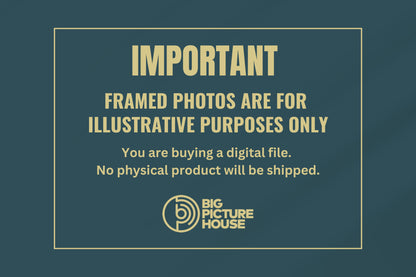 Digital downloads important information