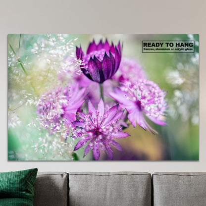 Astrantia Pink Flower Wall Art | Ready to Hang Floral Decor