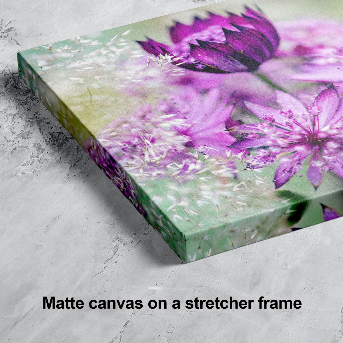 Astrantia Pink Flower Wall Art | Ready to Hang Floral Decor