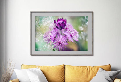 Pink Astrantia macro in frame on living room wall with yellow couch