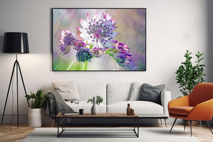 Pink and white Astrantia macro framed wall art living room