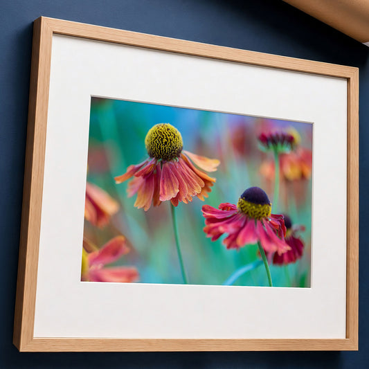 Macro Floral Art Print | Sneezeweed Botanical Wall Decor