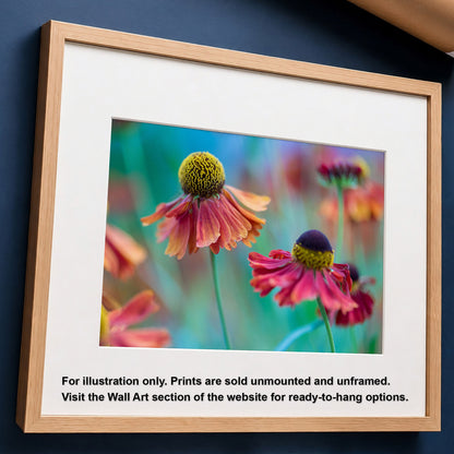Macro Floral Art Print | Sneezeweed Botanical Wall Decor
