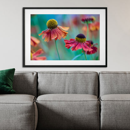 Macro Floral Art Print | Sneezeweed Botanical Wall Decor