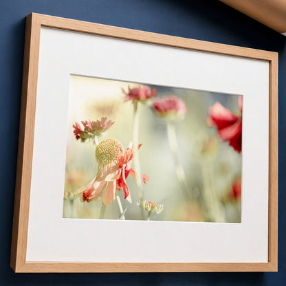 Sneezeweed Flower Macro Photo | Abstract Floral Print