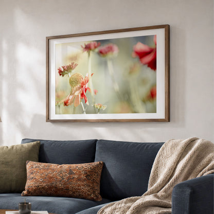 Sneezeweed Flower Macro Photo | Abstract Floral Print