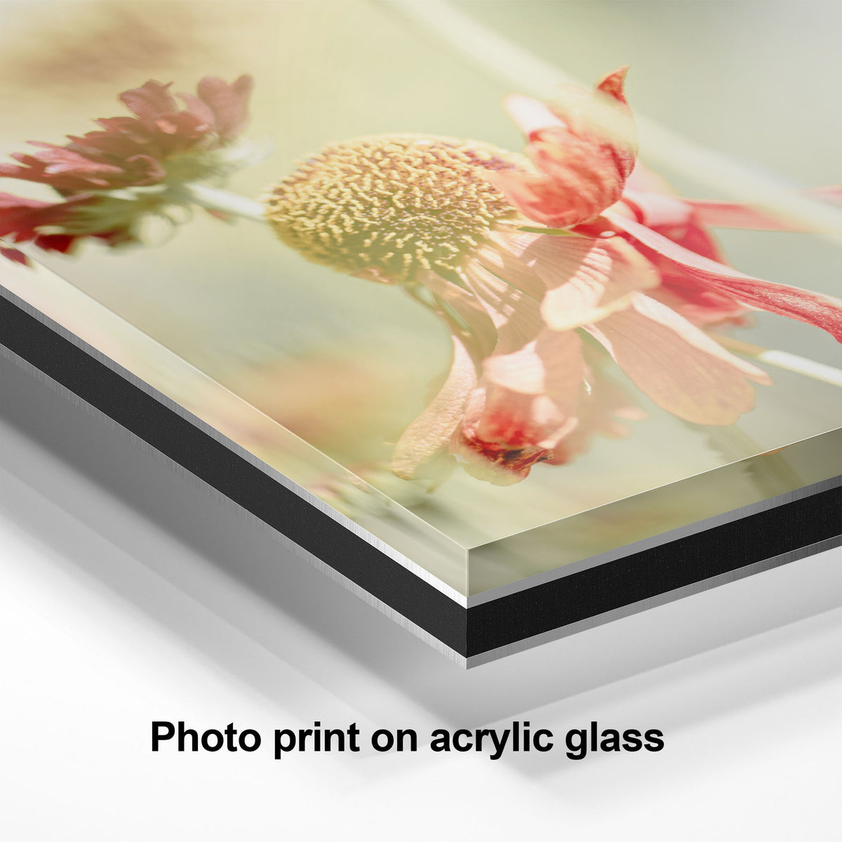 Sneezeweed Macro Flower | Bold Abstract Floral Wall Art for Home or Office