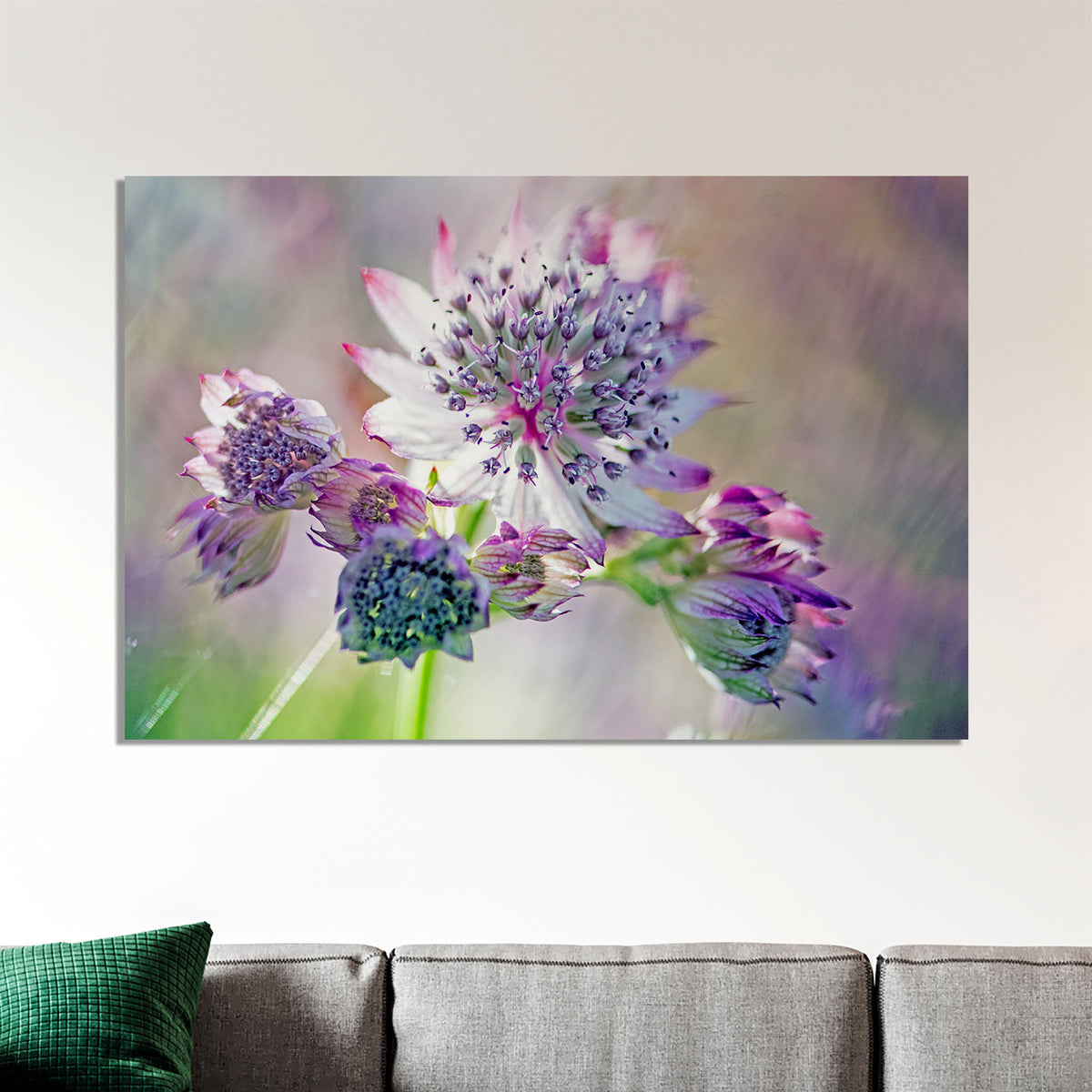 Pink and White Astrantia Macro Flower Photo | Ready-to-Hang Wall Art