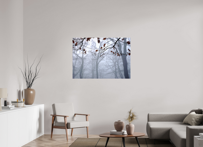 ISO A0 (118,9 x 84,1 cm), Photo Print Under Acrylic Glass Highgate Woods on Acrylic Glass