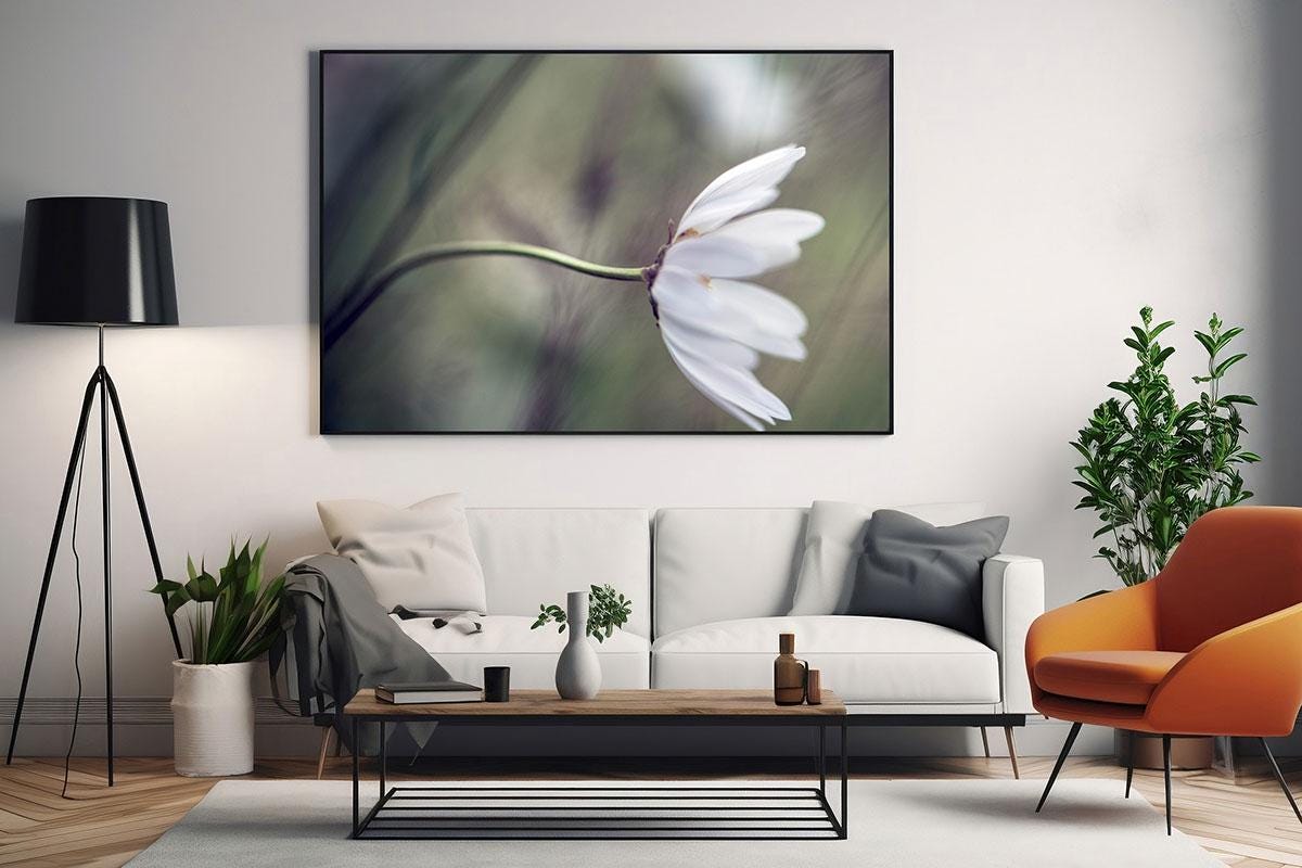 daisy blowing in wind framed wall art in living room 